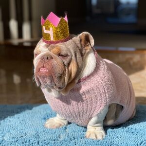 Barefoot Dreams Princess Dog sweater🩷